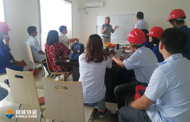 湖南pg电子模拟器特邀意大利专家举行质量治理培训