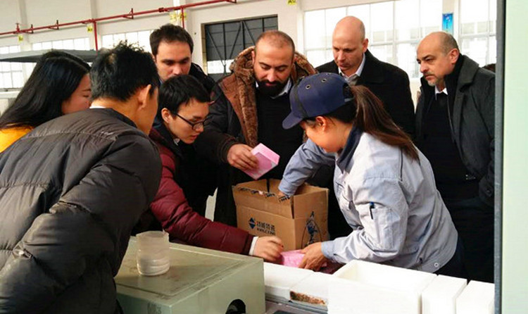 pg电子模拟器(中国)官方网站